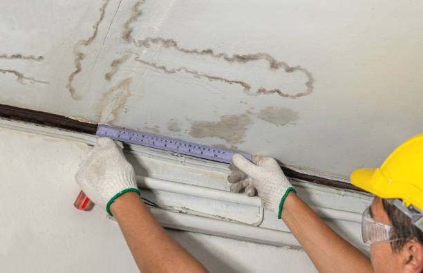 Reliable Water Damage contractor in Woodbridge, VA by Water Damage Irwin